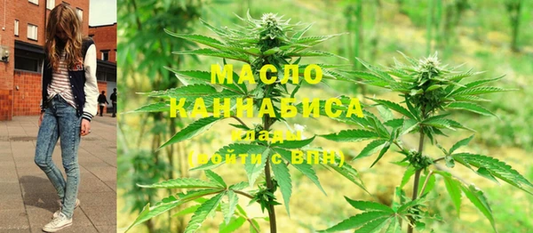 метадон Снежногорск