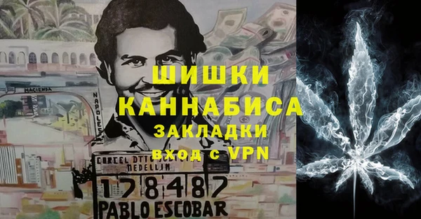 метадон Снежногорск