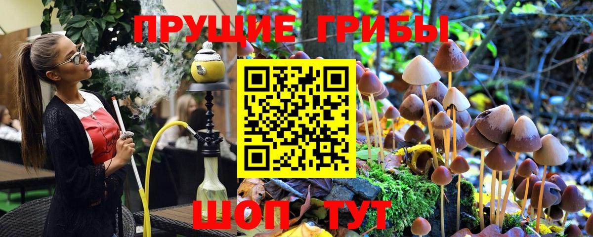 Псилоцибиновые грибы Psilocybine cubensis Снежинск